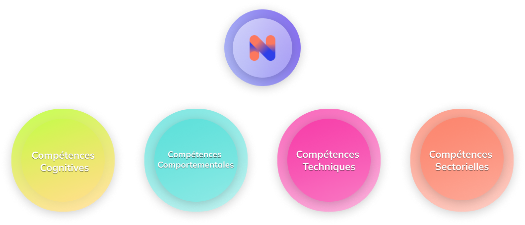 The 4 categories of skills for a mobility interview